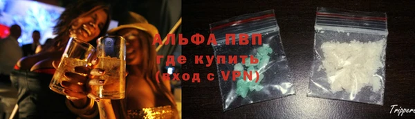 дживик Абаза